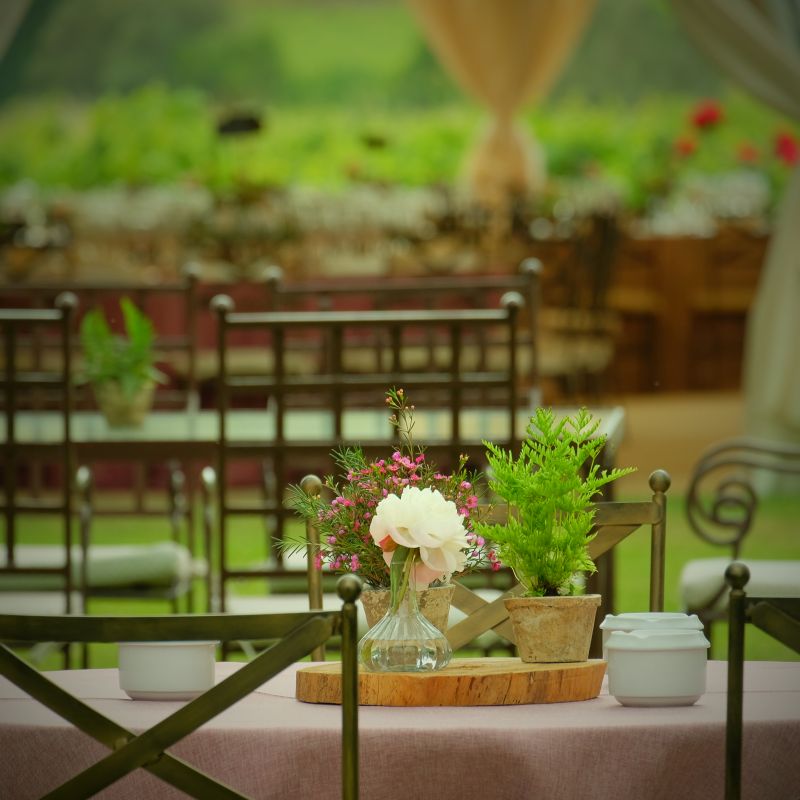 Aperitivo Composición  Flores y Plantas