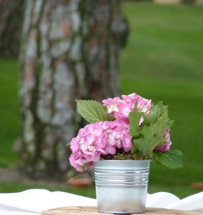 Cubilete de Hortensias
