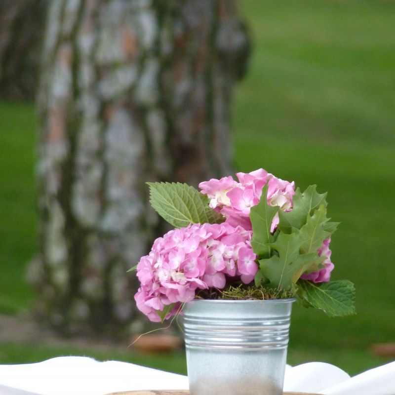 Cubilete de Hortensias