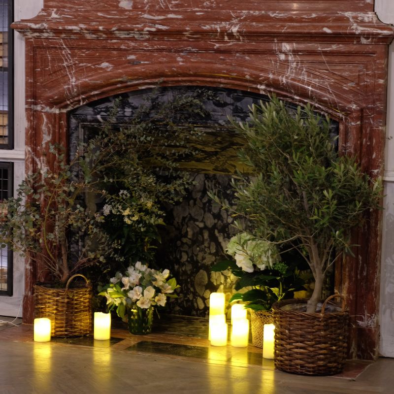 Chimenea con arboles y velas