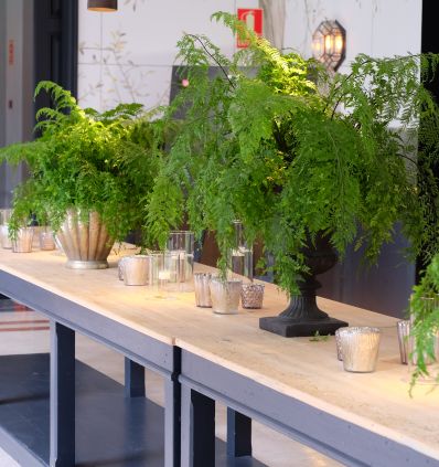 Composición galeria con velas 