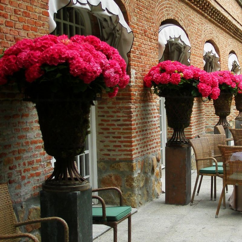 Porche aperitivo copas de celosia con hortensias