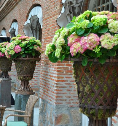 Porche aperitivo copas de celosia con hortensias