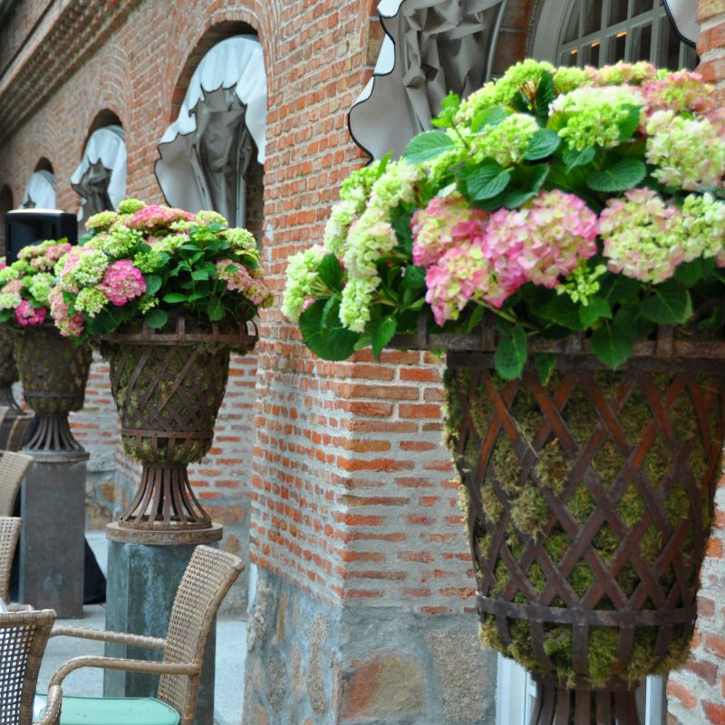 Porche aperitivo copas de celosia con hortensias