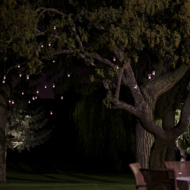 Arbol con velas colgando 