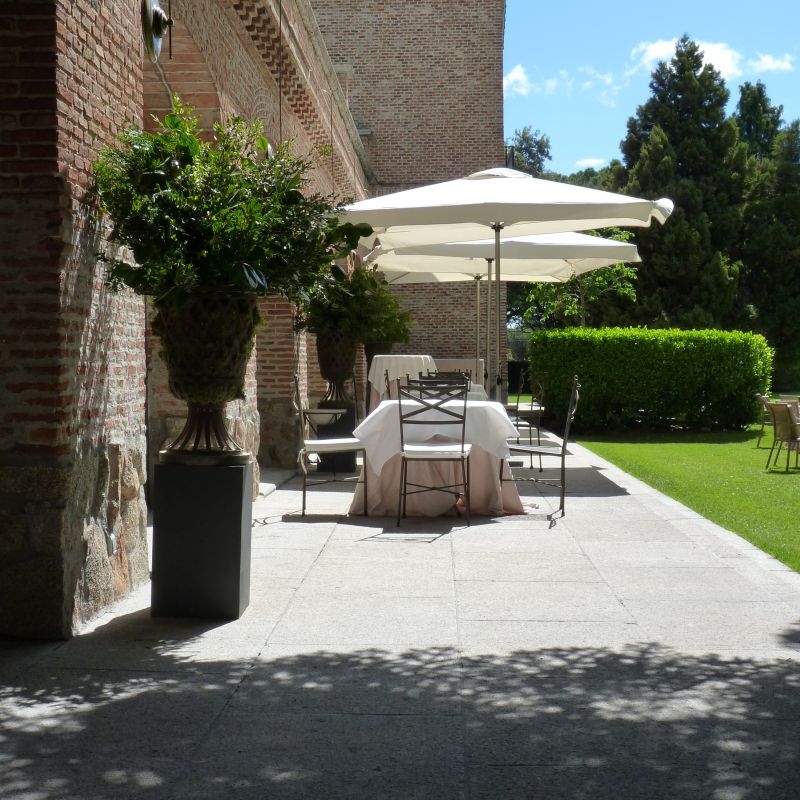 Porche aperitivo copas de celosia con verdes