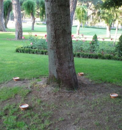 Velas en el jardin