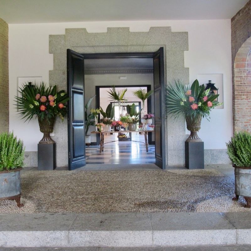 Copas de celosia en la entrada principal