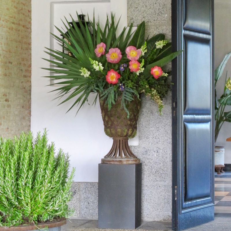 Copas de celosia en la entrada principal