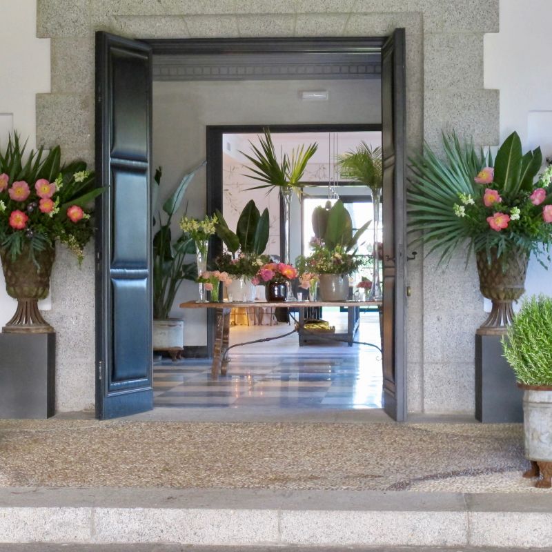 Copas de celosia en la entrada principal