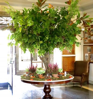 Arbol de entrada para el hall