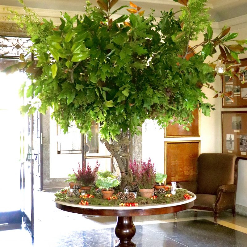 Arbol de entrada para el hall