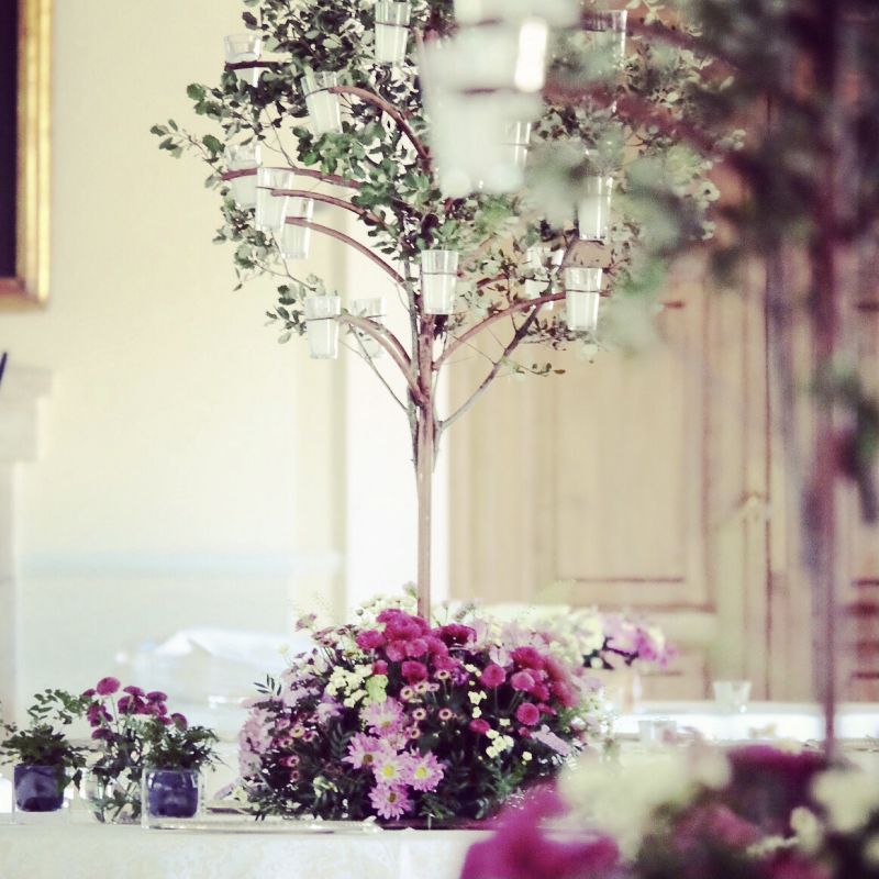 Candelabro arbol encina y flores