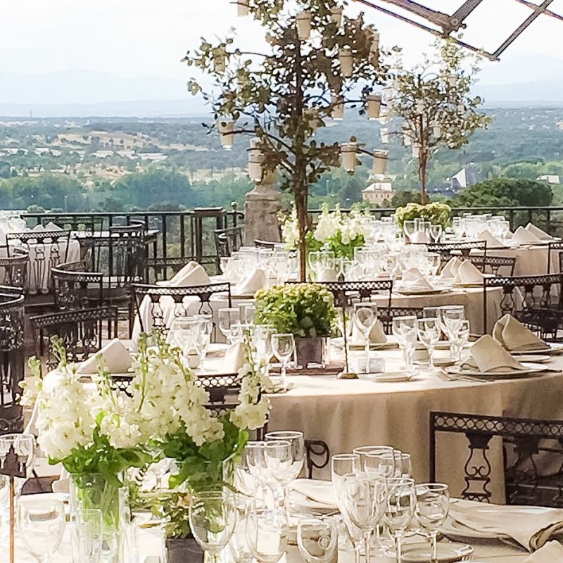 Candelabro arbol encina y flores