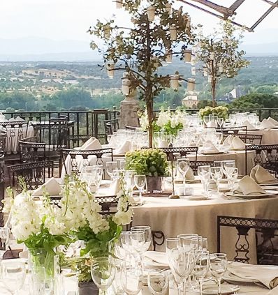 Candelabro arbol encina y flores