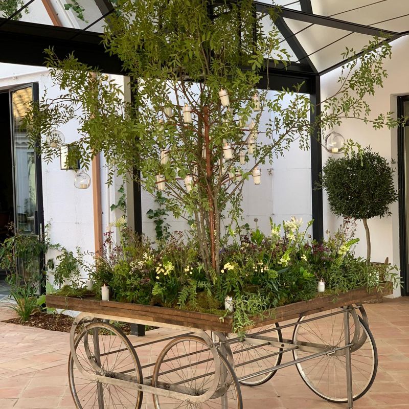 Jardin para carrito