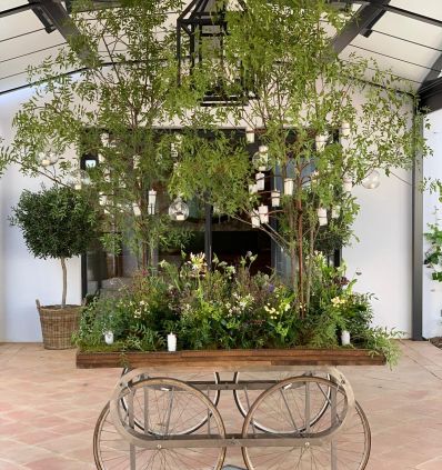 Jardin para carrito