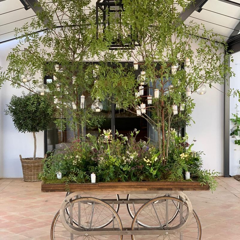 Jardin para carrito