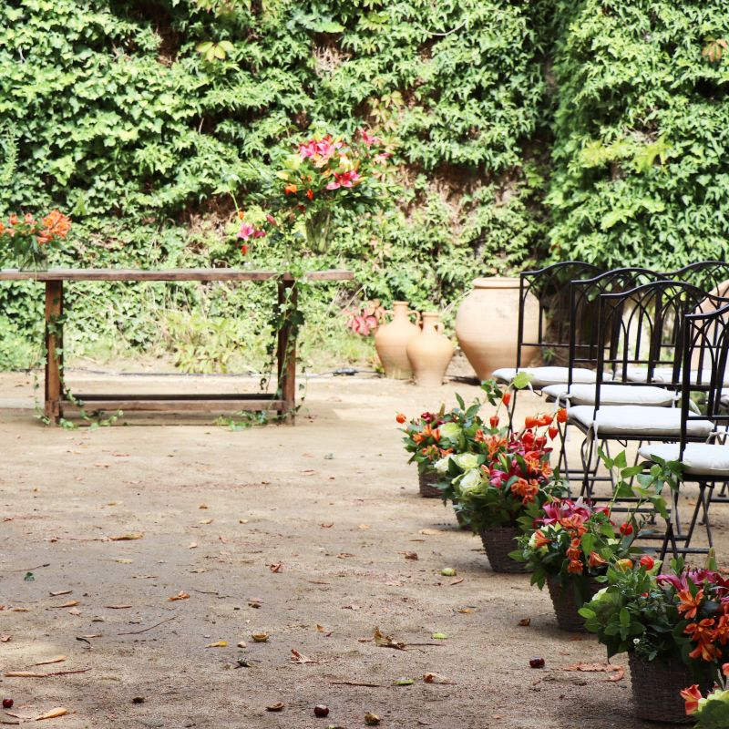 Ceremonia exterior sencilla