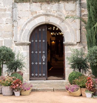 Decoracion con Arboles de Alquiler