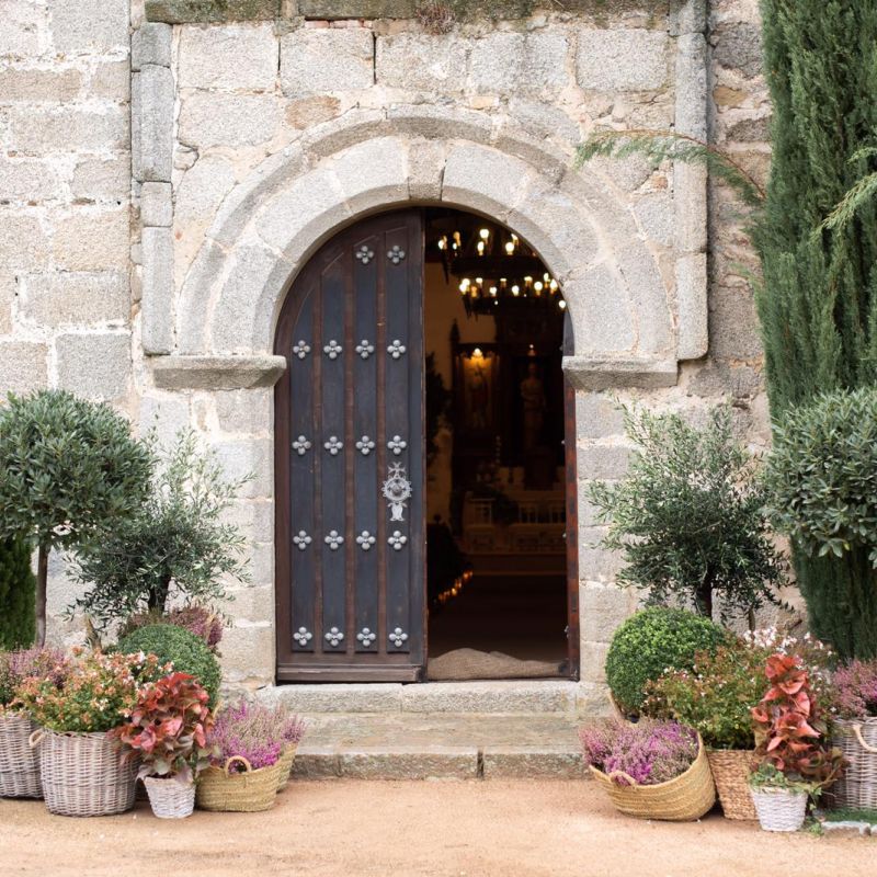 Decoracion con Arboles de Alquiler