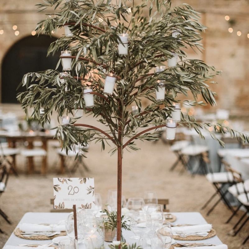 Candelabro arbol con Olivo