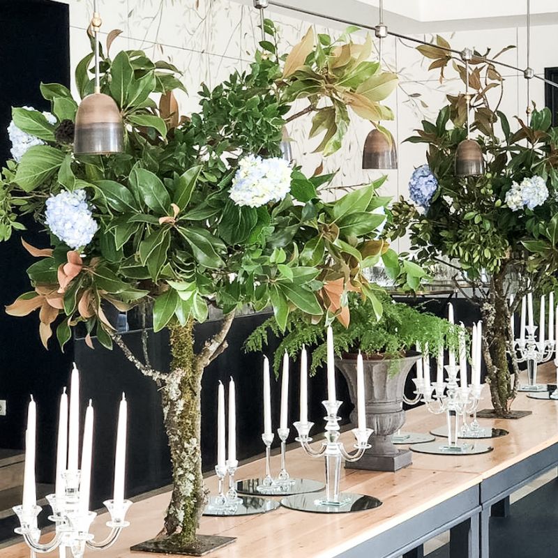 Galeria pirulos hortensia azul