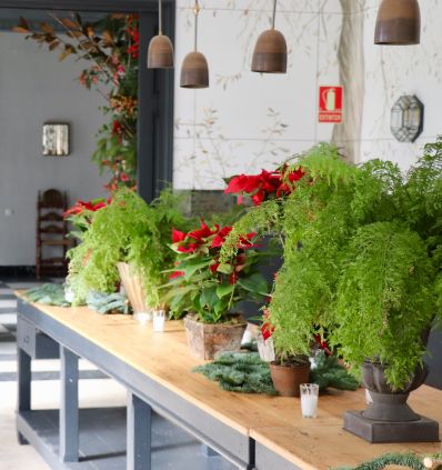 Bodegón Navideño Mediano