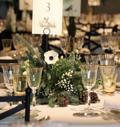 Centro Brotando de la Mesa de Invierno