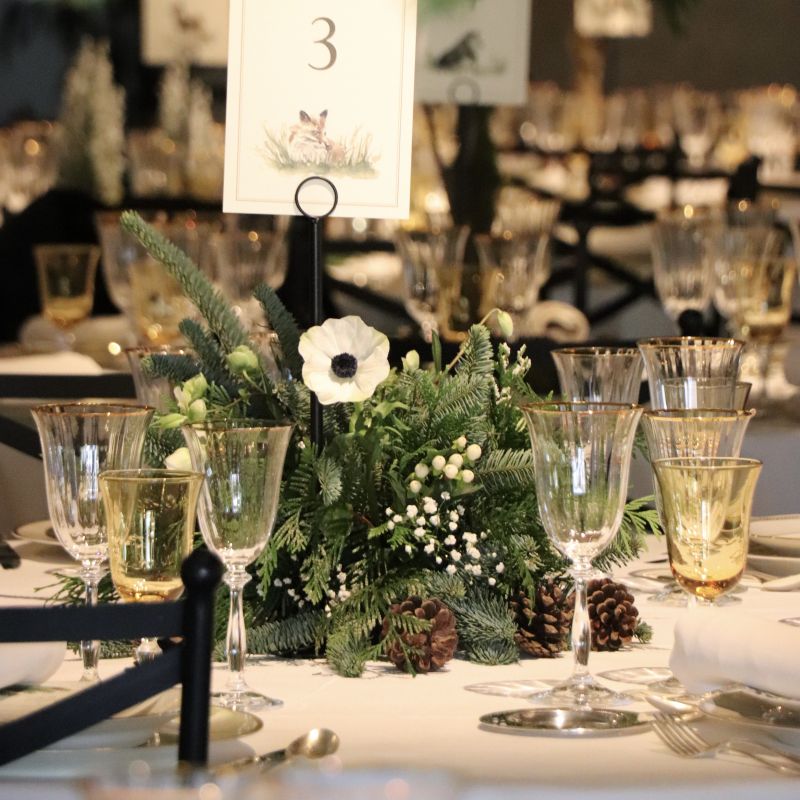 Centro Brotando de la Mesa de Invierno