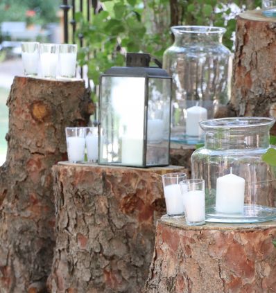 Entrada composición troncos