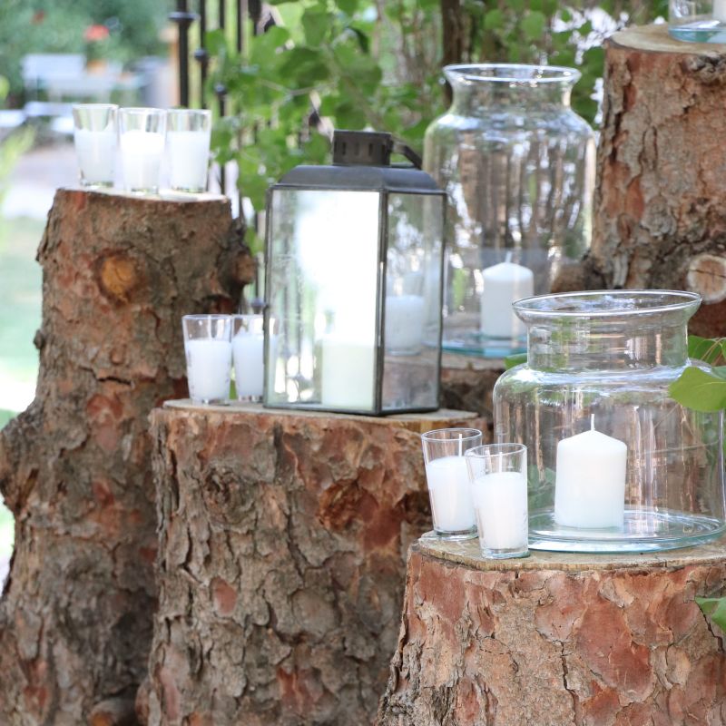 Entrada composición troncos