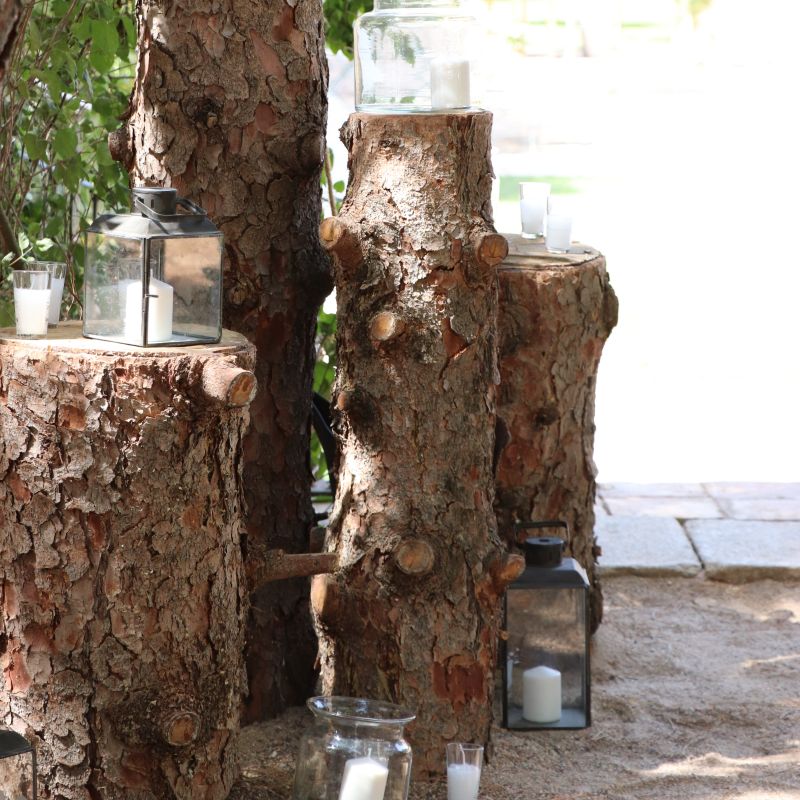 Entrada composición troncos