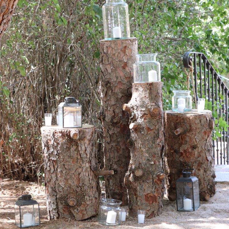 Entrada composición troncos