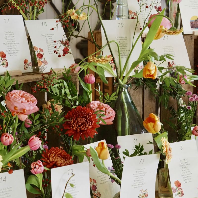 Seating plan violeteros y flores