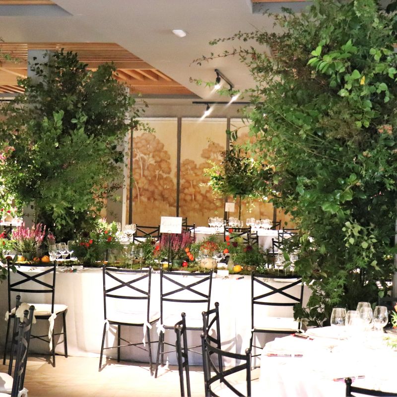 Columnas comedor