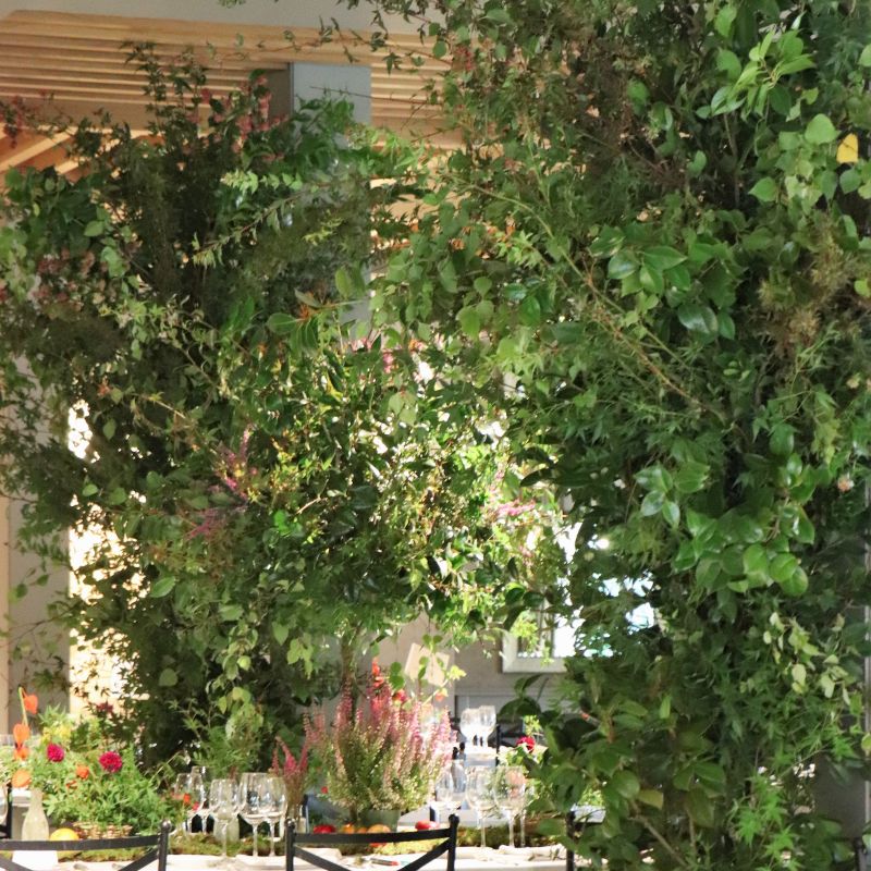 Columnas comedor