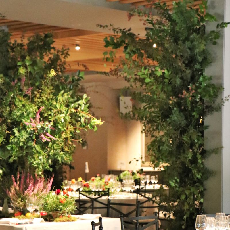 Columnas comedor