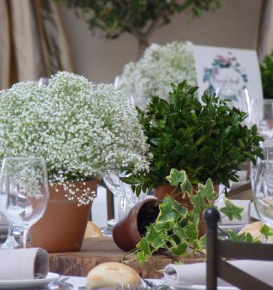 COMPOSICION de Macetas