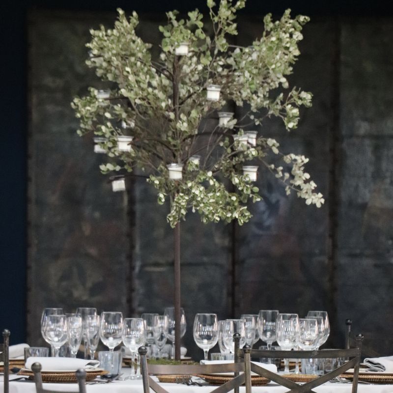 Candelabro arbol con encina