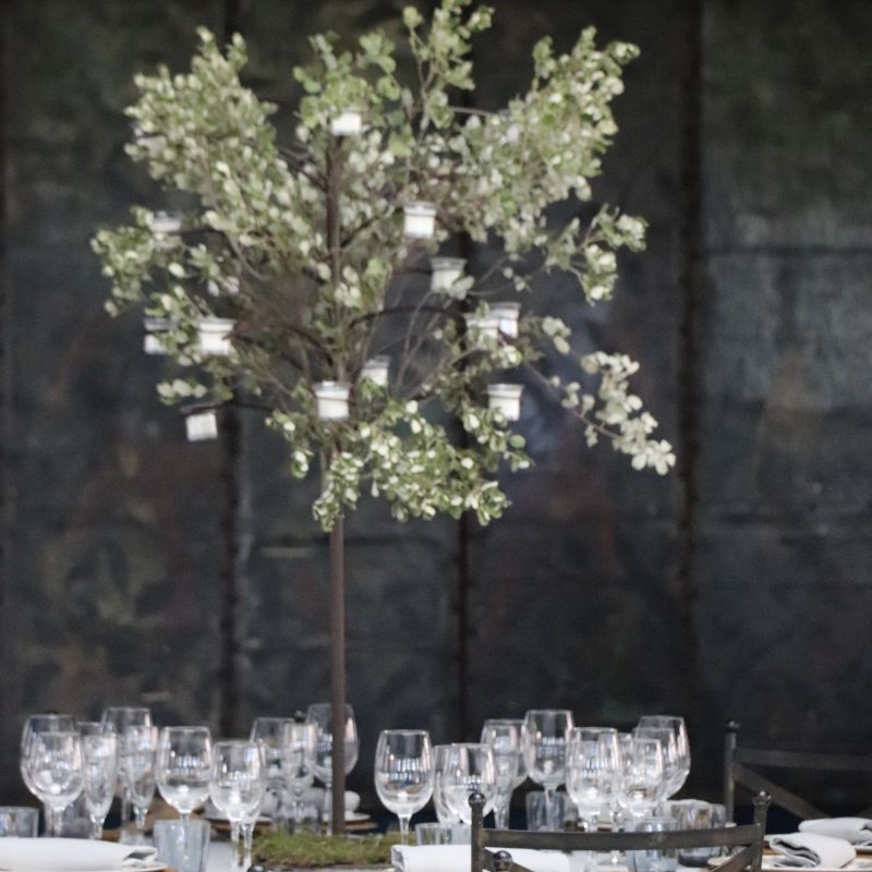 Candelabro arbol con encina