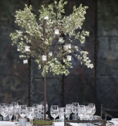 Candelabro arbol con encina